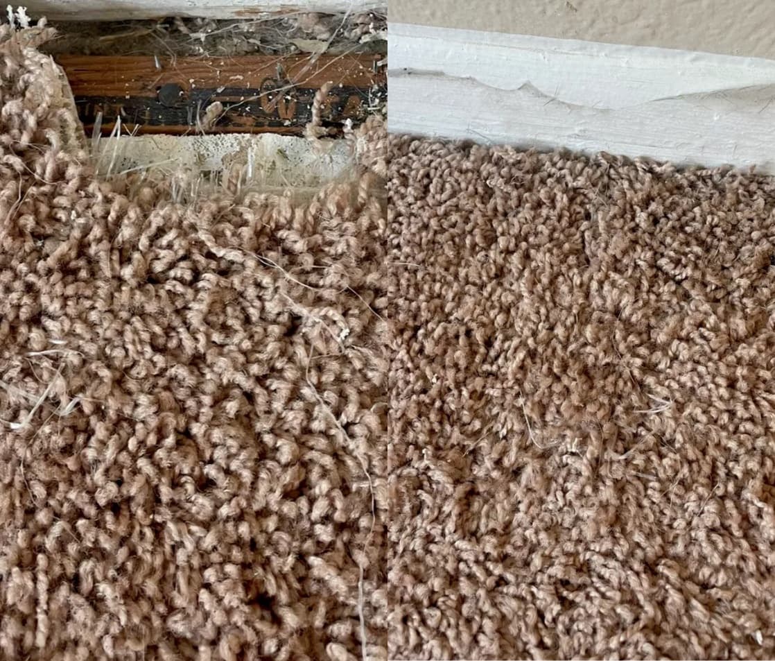 Before and after of a carpet edge, matted and debris-filled on the left and clean and restored on the right, from a Best Cleaning & Restoration job