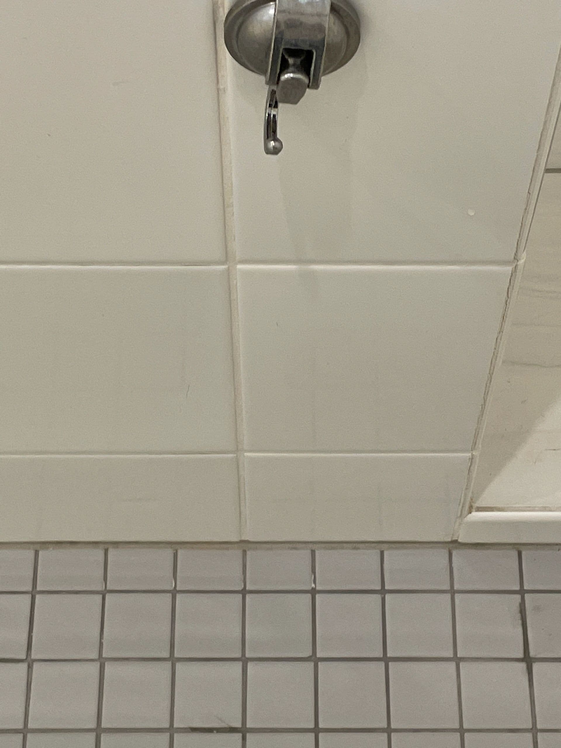 Restored shower tile wall and fixture, Central Florida